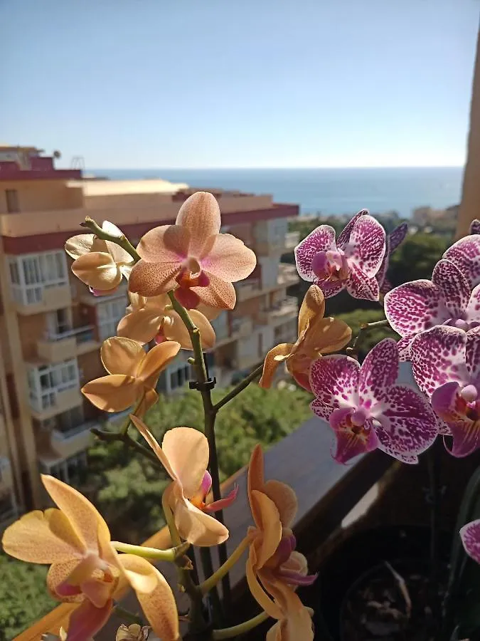 Sweet Home Benalmadena: Seaside Studio with Pools and Wi-Fi